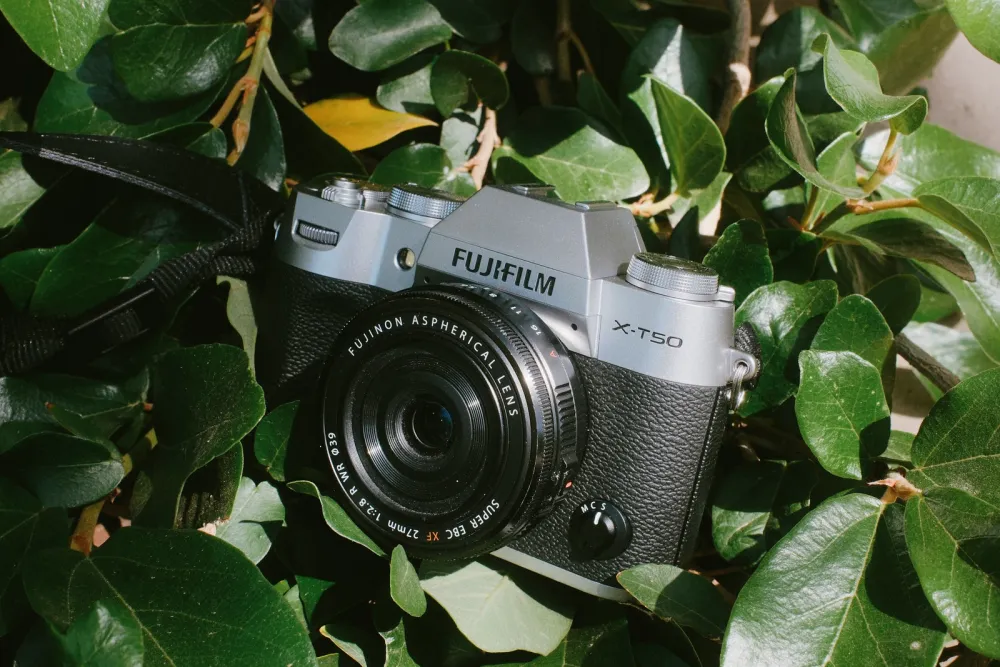 photograph of a fujifilm camera sitting on leaves